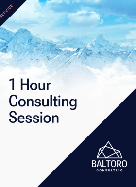 1 Hour Consulting Session